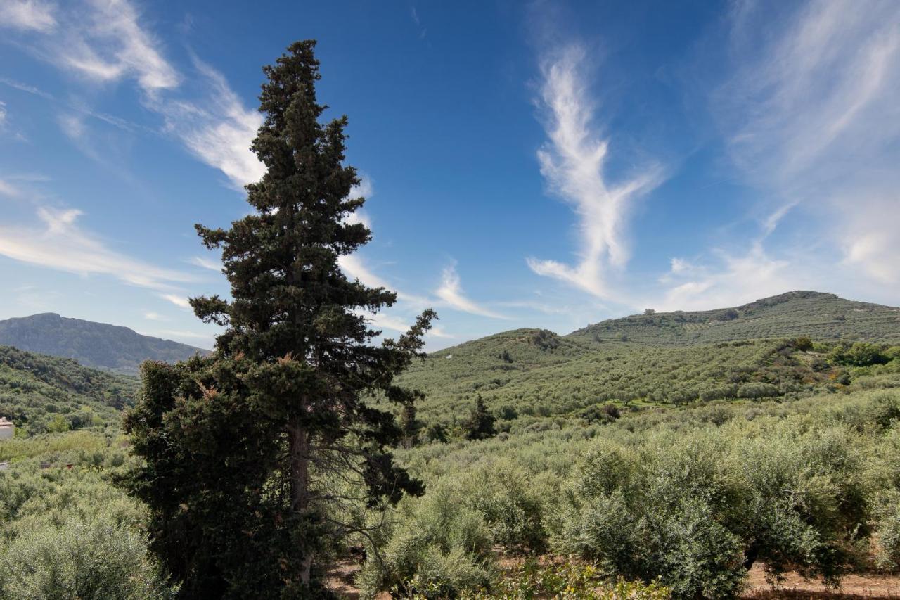 Achilleas Deluxe Αpartment -Pet Friendly-Parking-Mountain View Villa Kotsianá Dış mekan fotoğraf