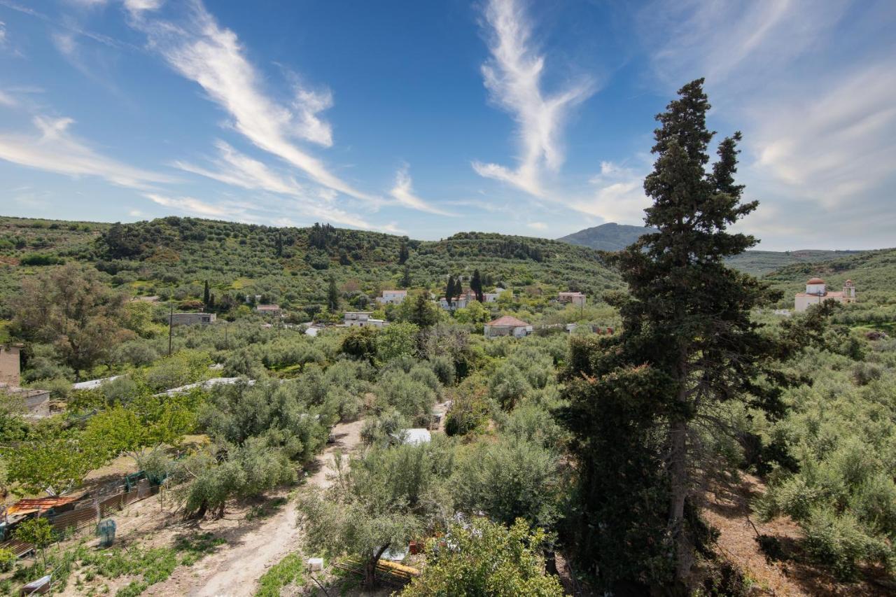 Achilleas Deluxe Αpartment -Pet Friendly-Parking-Mountain View Villa Kotsianá Dış mekan fotoğraf